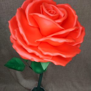 ”Pikkujätti”-ruusu punainen
