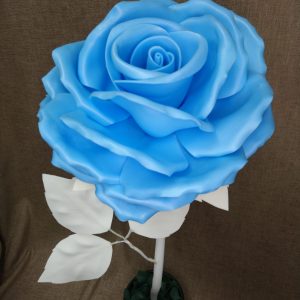 ”Pikkujätti”-ruusu sininen