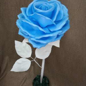 ”Pikkujätti”-ruusu sininen
