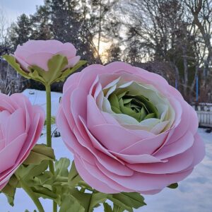 Nättijätti  Jaloleinikki