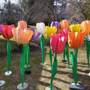 Nättijätti Tulppaanit ( eri värejä )